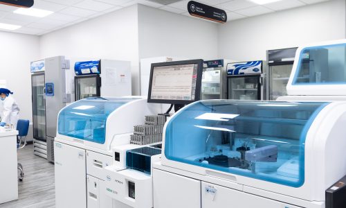 Cobas pura Hospital el pilar