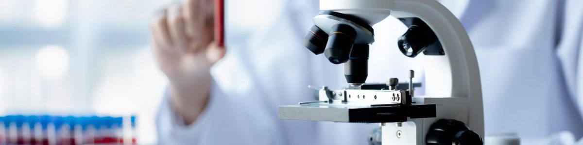 banner_lab_website EL PILAR